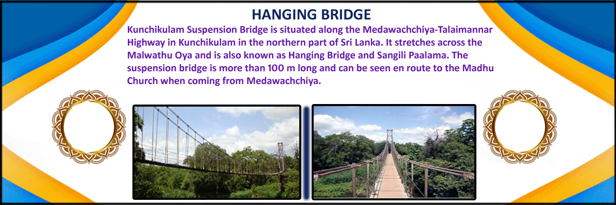 Hanging_bridge