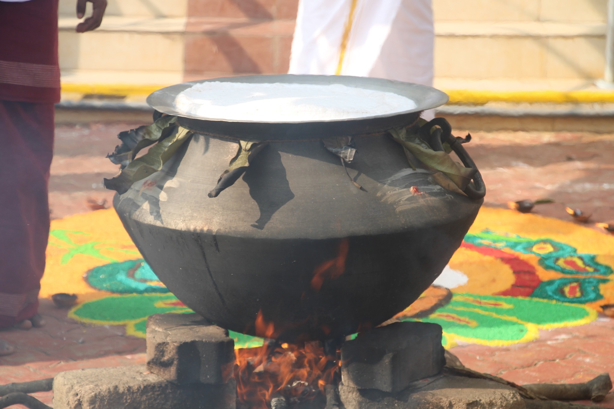 pongal26 1