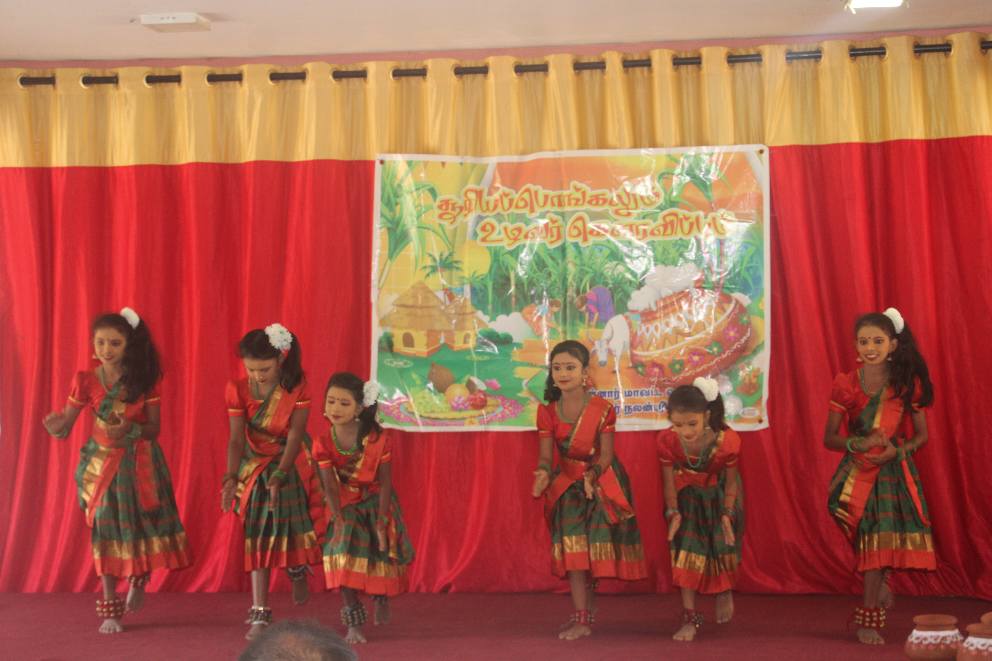 pongal26 15