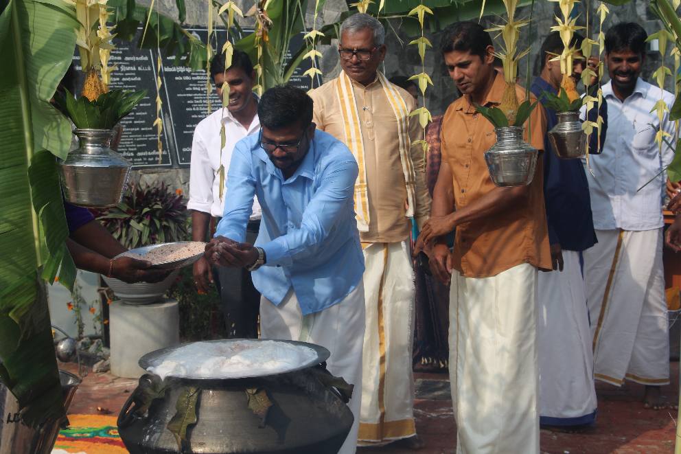 pongal26 6