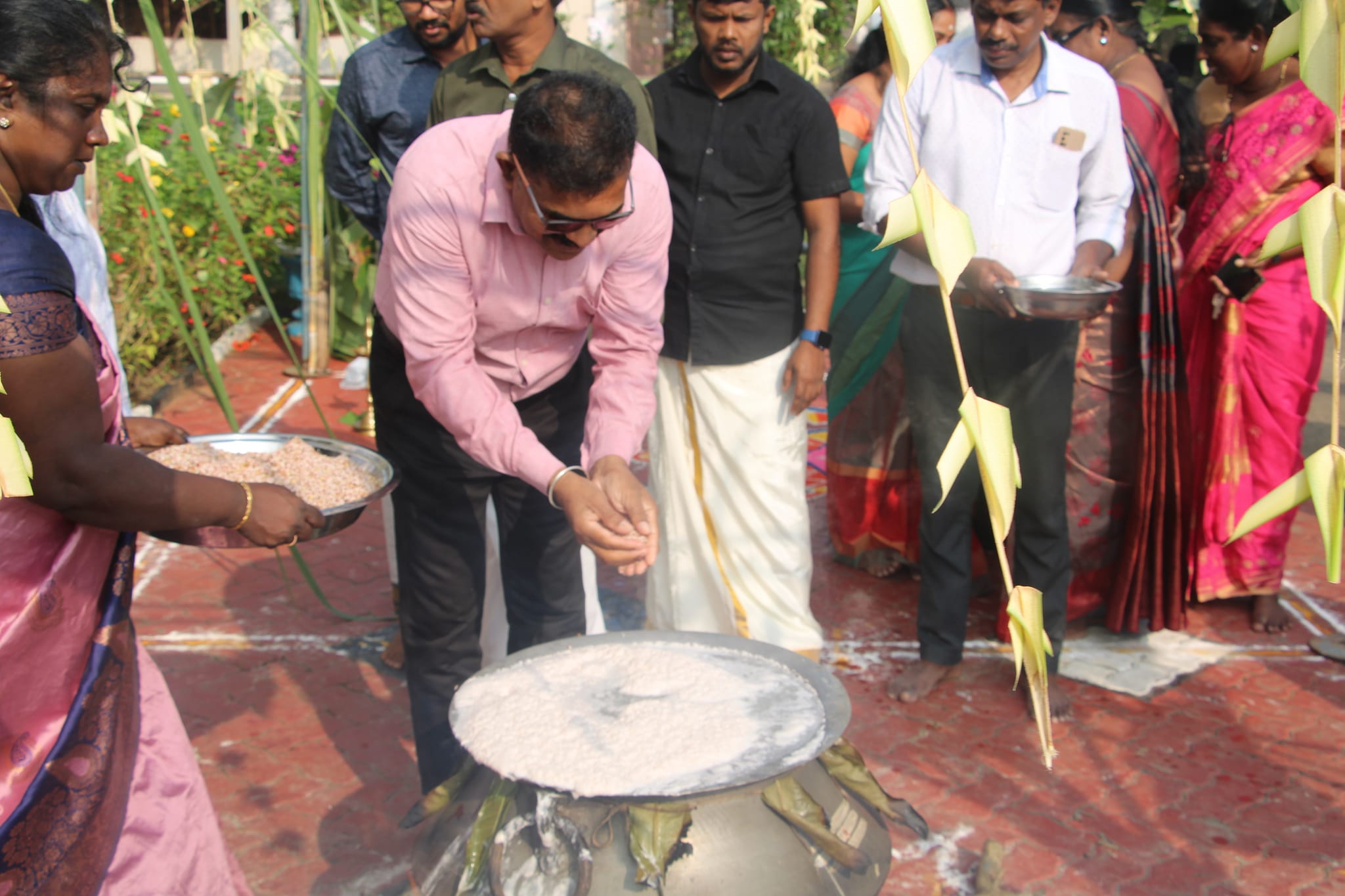 pongal255
