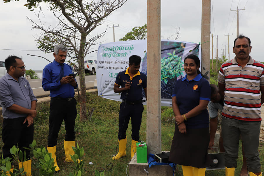treeplanting2