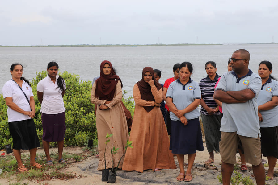 treeplanting5