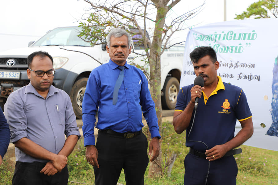 treeplanting1